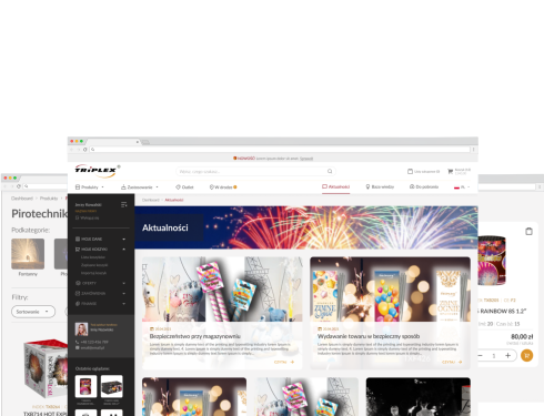 Interfejs platformy B2B w przeglądarce
